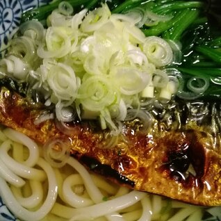 焼き鯖うどん